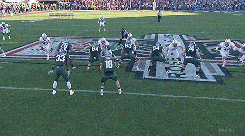 Big rose over GIF Find on GIFER