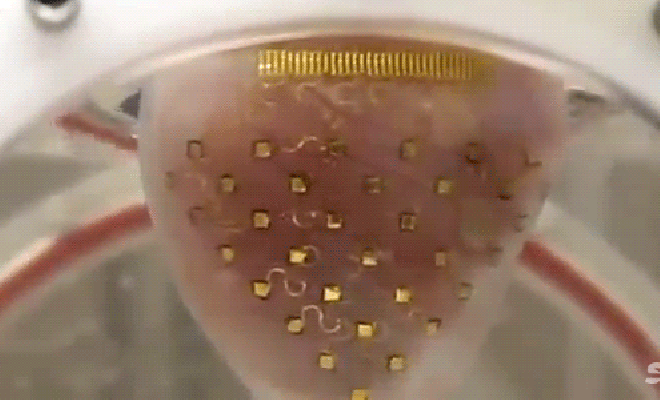 Download Ralph Heartbreak Gif PNG & GIF BASE