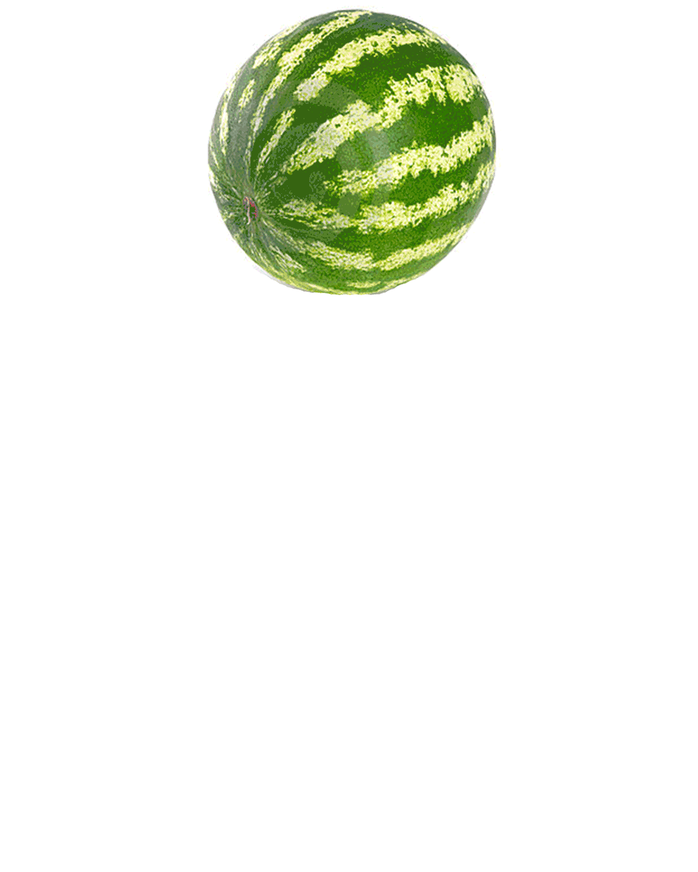 GIF watermelon animated GIF on GIFER
