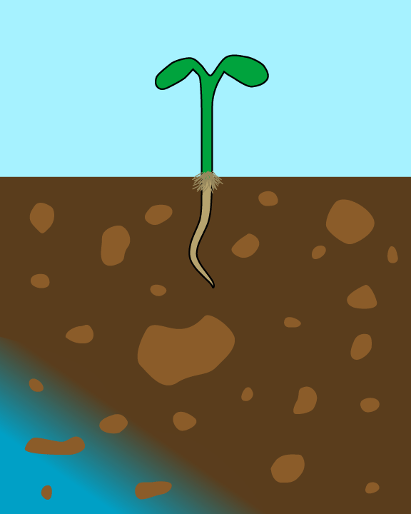 The roots GIF Find on GIFER