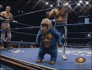 Midget Dropkick Fang Gif On Gifer By Nejora