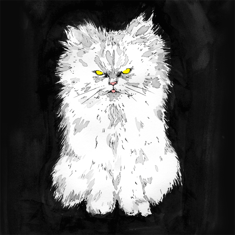 Animal halloween GIF Find on GIFER