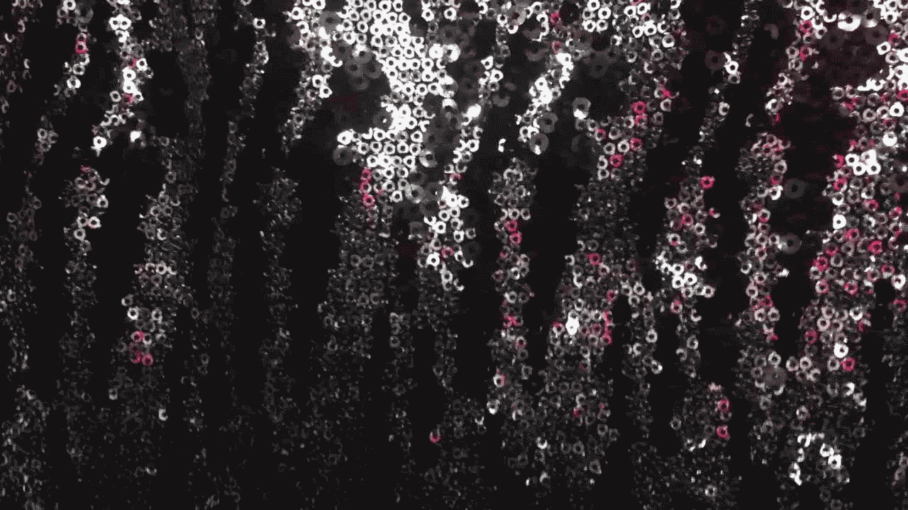 Sparkles GIF Find on GIFER