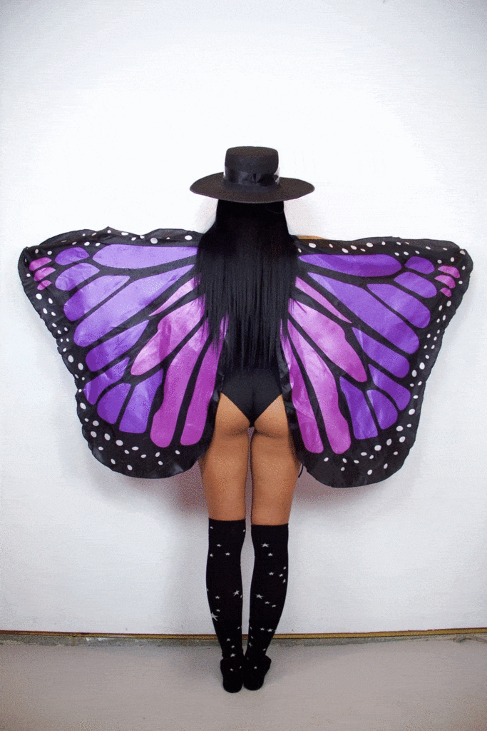 Wings GIF Find on GIFER