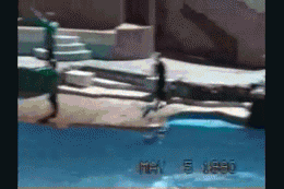 Sky GIF Find on GIFER