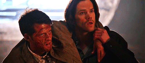 Tim and eric comedy tim heidecker GIF Find on GIFER