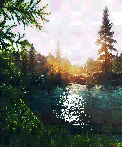 Nature outside GIF Find on GIFER