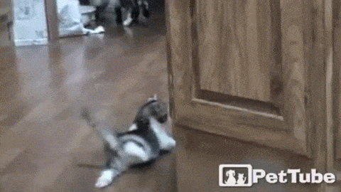 Gif Working Travail Arbeiten Animated Gif On Gifer