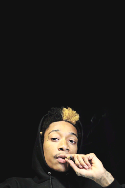 Wiz khalifa smoke weed smoke GIF Find on GIFER