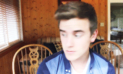 GIF cat fashion food animated GIF on GIFER