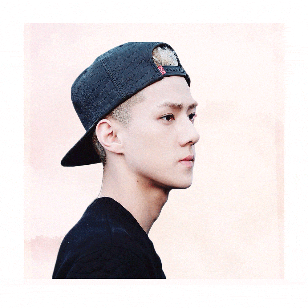 GIF new york knicks animated GIF on GIFER