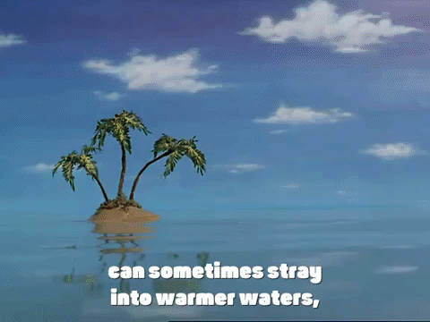 Spongebob squarepants snowball effect season 3 GIF Find on GIFER