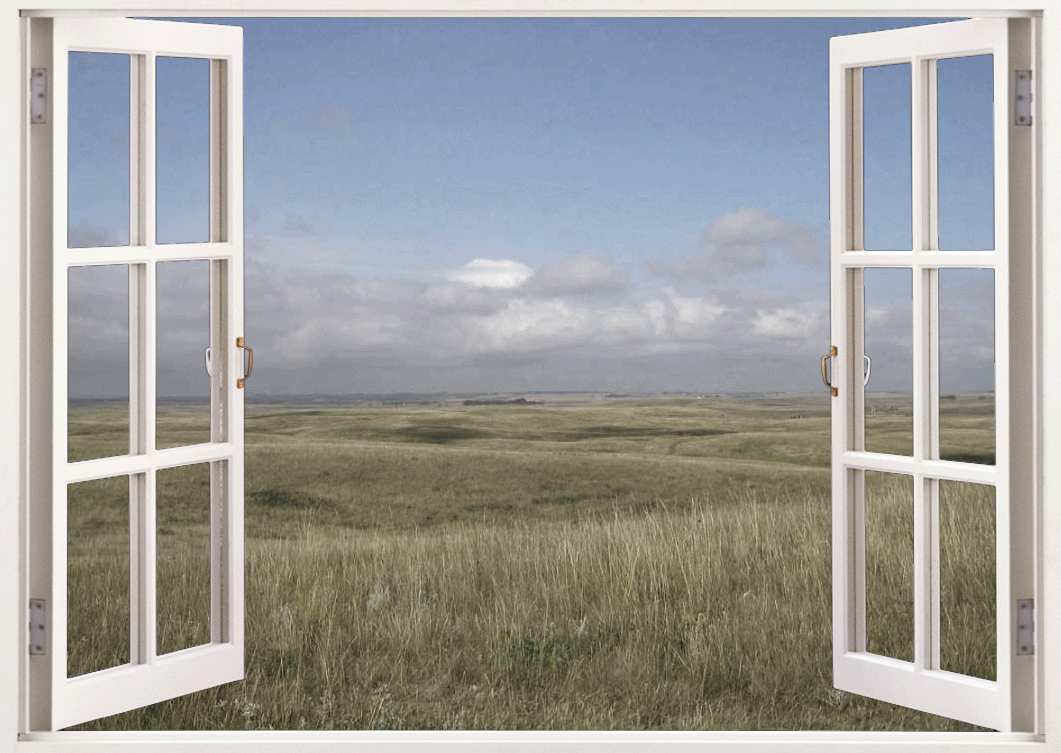 Washer Interestinggifs Window Gif Find On Gifer
