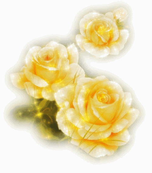 Yellow GIF Find on GIFER