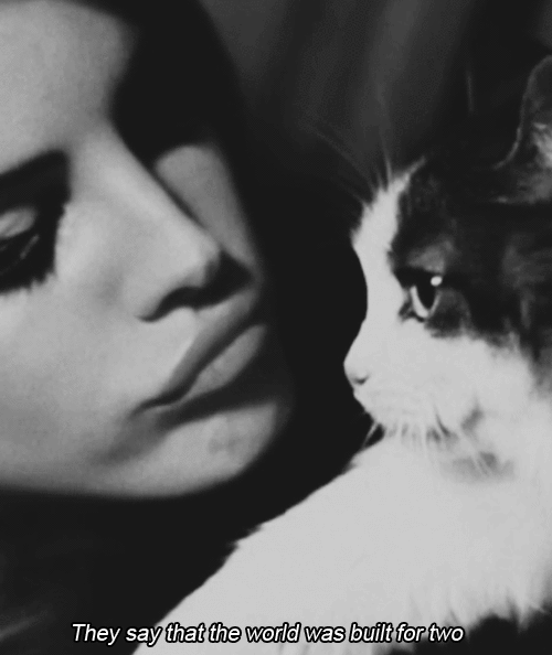 GIF kiss kitty lana del rey animated GIF on GIFER