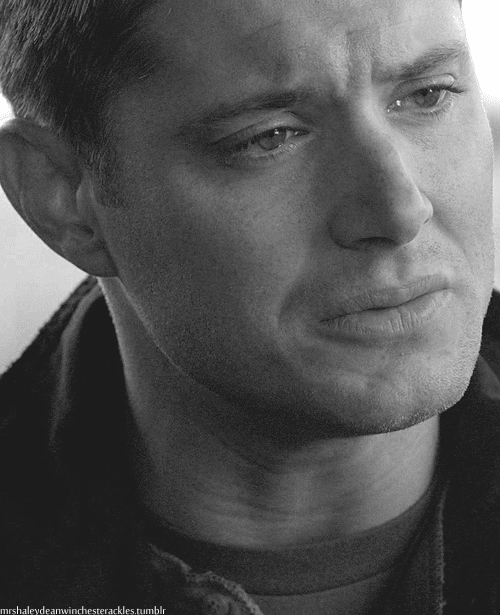 Nature couple GIF Find on GIFER