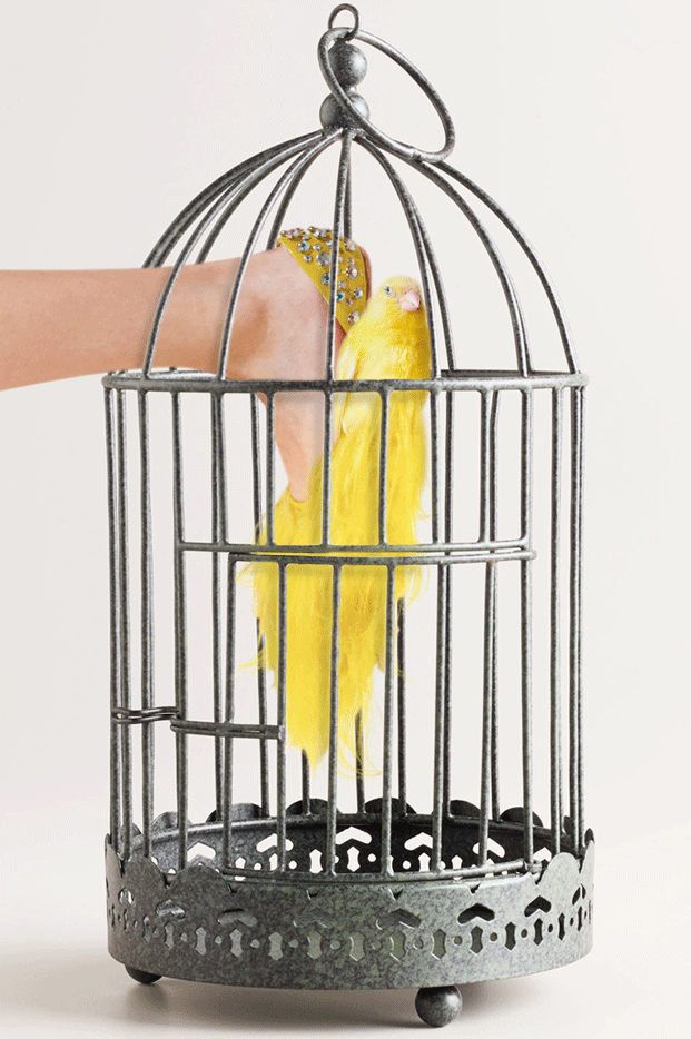 GIF bird cage fashgif shoes animated GIF on GIFER by Opigar
