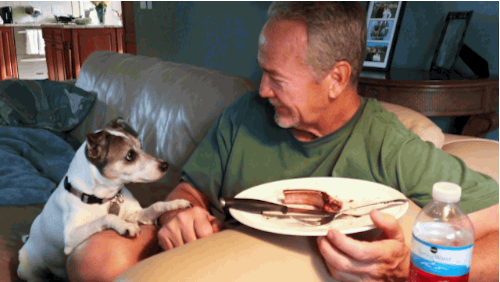 Funny Gifs plate Gif