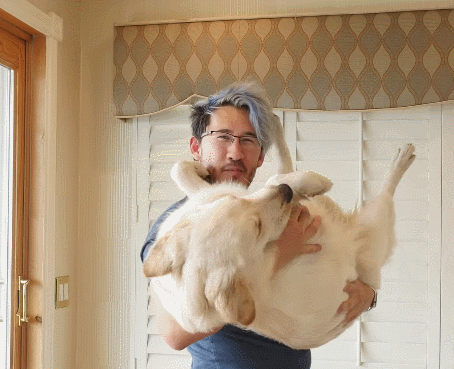 Massive markiplier dogs GIF Find on GIFER