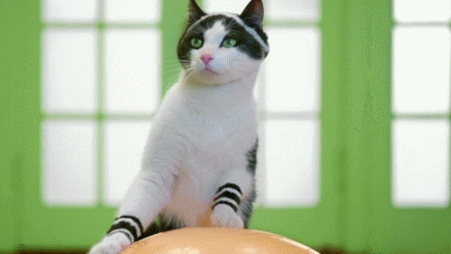 Wtf album cover GIF Find on GIFER