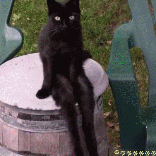 Relaxed GIF on GIFER by Cezar