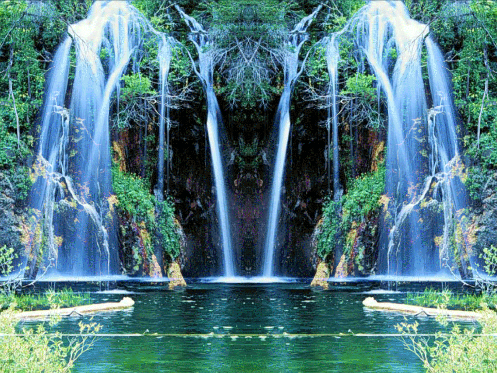 Nature GIF Find on GIFER
