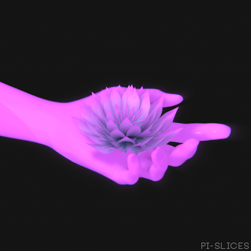 Funny Gifs flower GIF