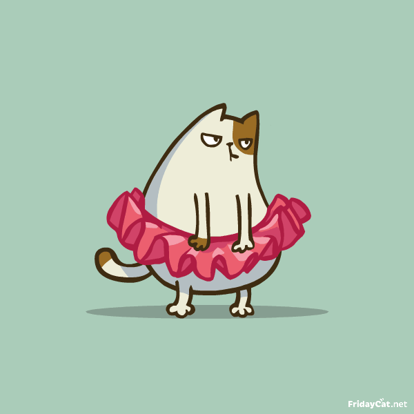 GIF cat cats friday animated GIF on GIFER