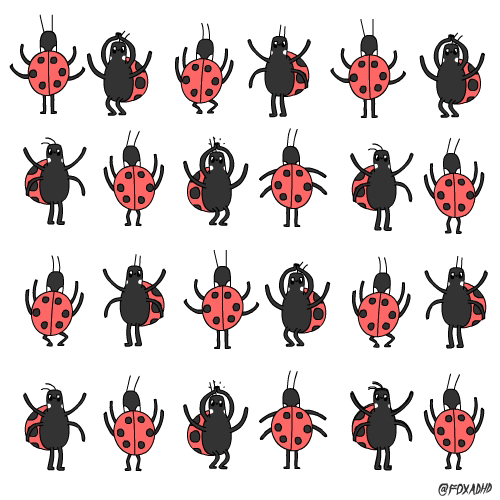 Ladybugs cute fox GIF Find on GIFER