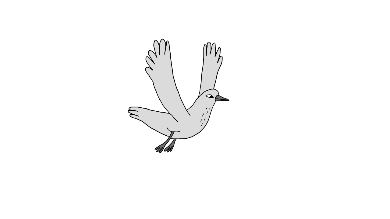 Bird illustration GIF Find on GIFER