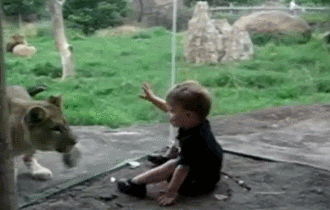 Explosion GIF Find on GIFER