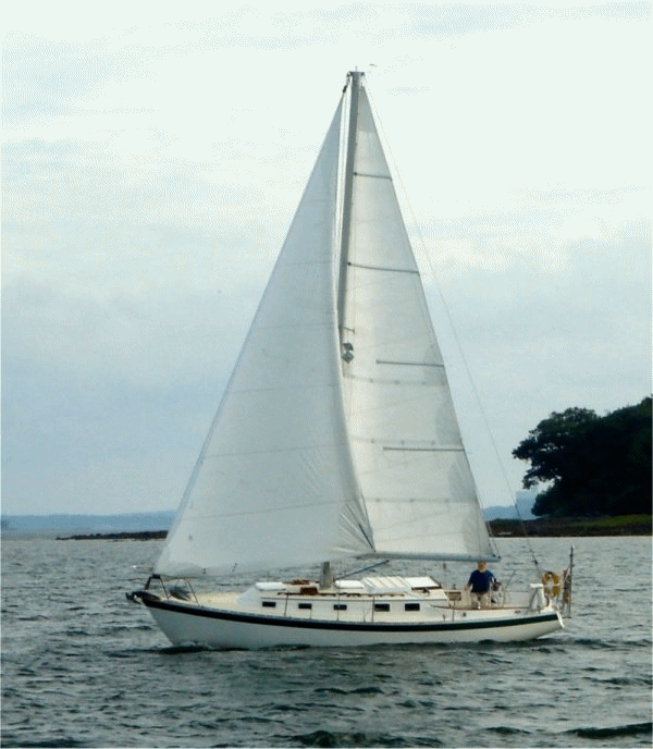 Funny Gifs sailboat GIF