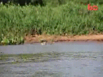 Table turn GIF Find on GIFER