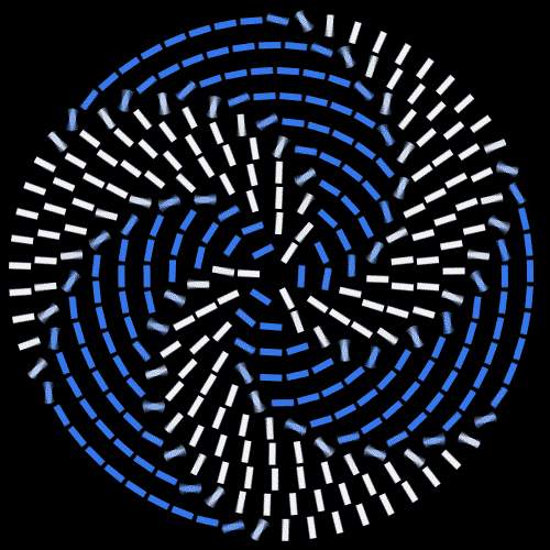 Pitbull GIF Find on GIFER