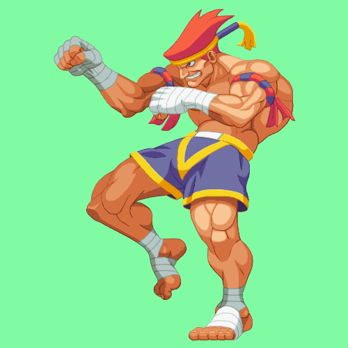 Adonadonadon adon fighter GIF Find on GIFER