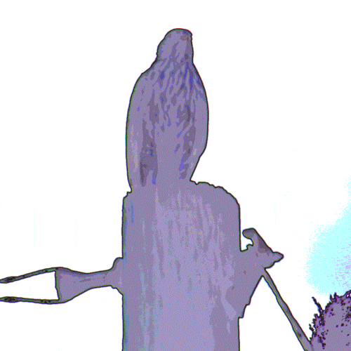 Dunk GIF Find on GIFER