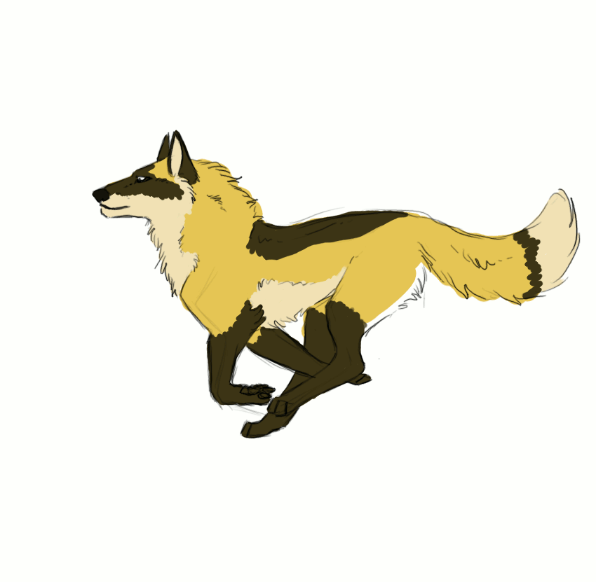 Fox GIF Find on GIFER