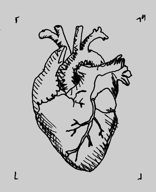 Drawing GIF Find on GIFER