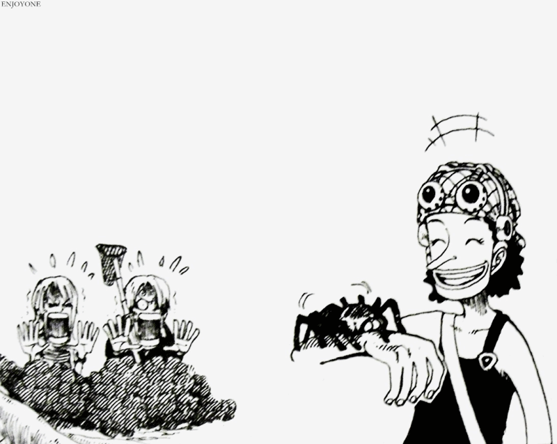 Straw hat pirates GIF Find on GIFER