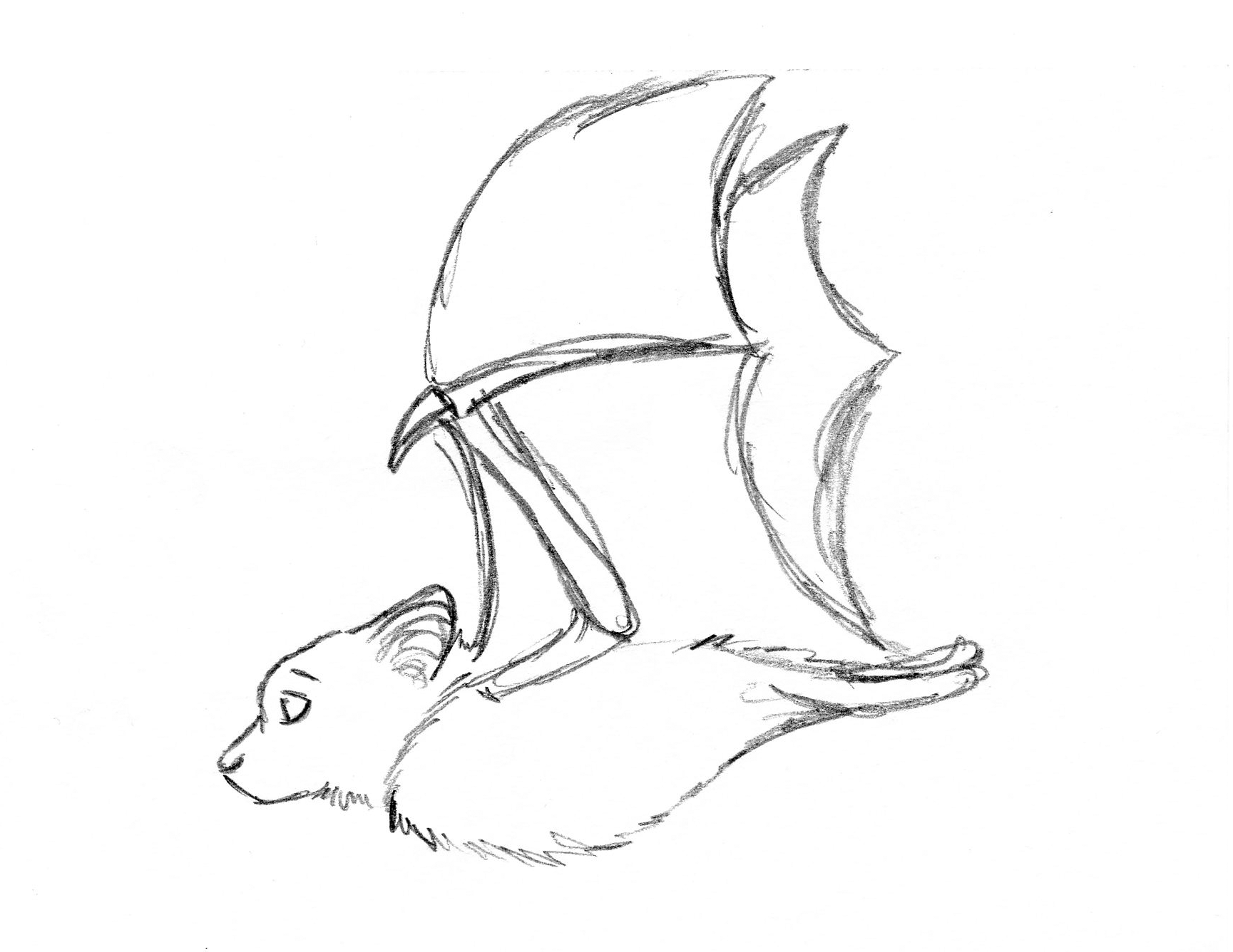 Flying GIF Find on GIFER