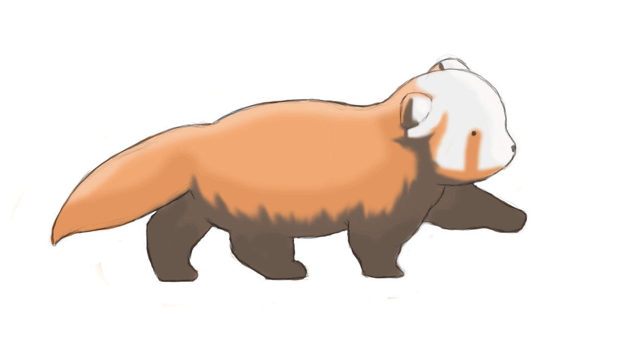 Red panda GIF on GIFER by Turn