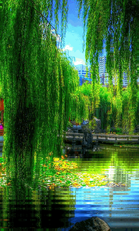 Funny Gifs Moving Gif Vsgif Com