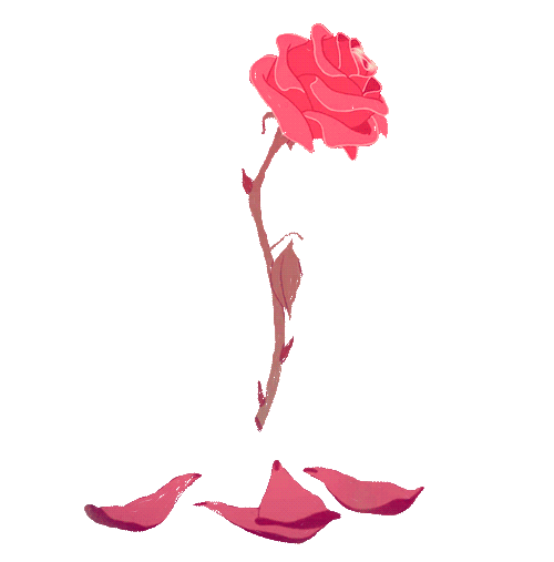 Transparent rose overlay GIF Find on GIFER