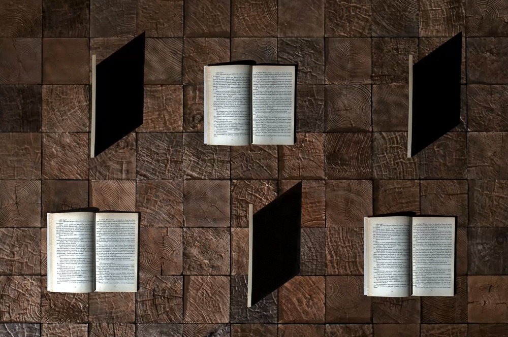 Books book GIF on GIFER by Granadar