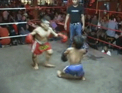 Midget GIFs Get the best gif on GIFER
