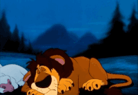 African Lion Gifs Get The Best Gif On Gifer