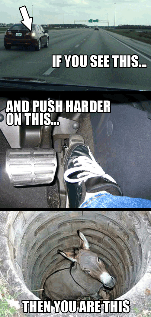 Pedal GIFs Get the best gif on GIFER