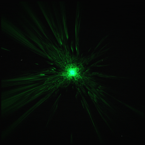 Green slime GIF Conseguir o melhor gif em GIFER