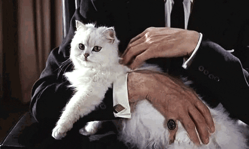 16 lessons we learned from watching Bond movies