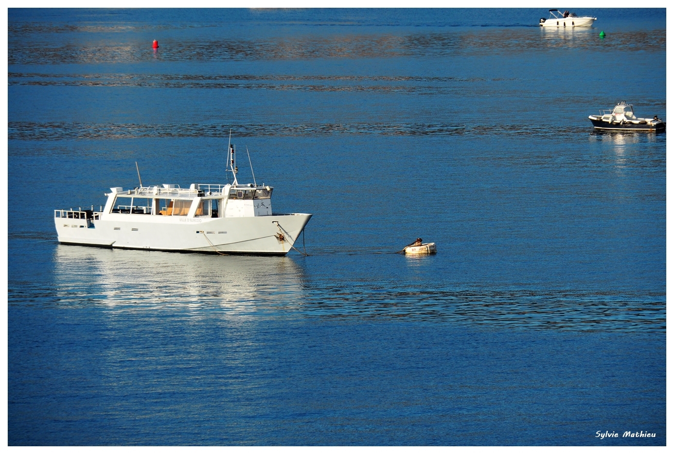 Arrivée en Corse Globe Trotteuse